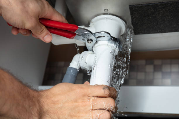 Best Residential water damage restoration  in Mayer, MN