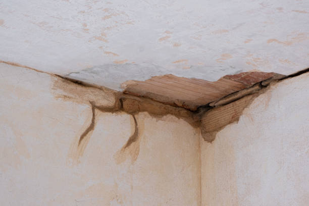 Best 24/7 water damage repair  in Mayer, MN