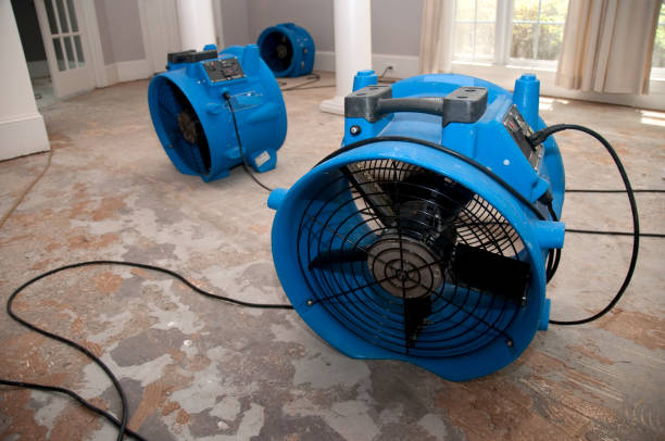 Best 24-hour water damage restoration  in Mayer, MN