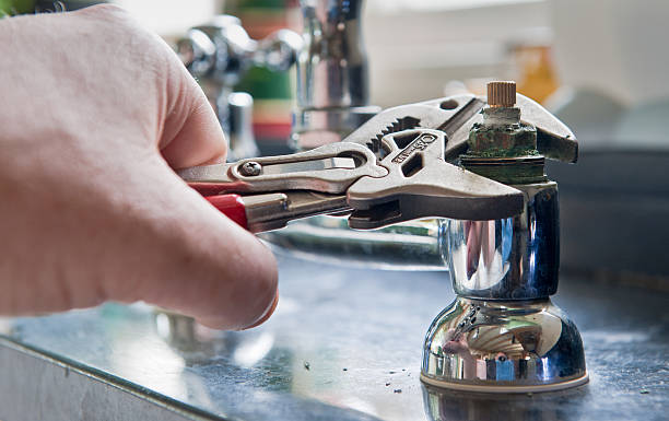 Best Water damage restoration mold remediation  in Mayer, MN