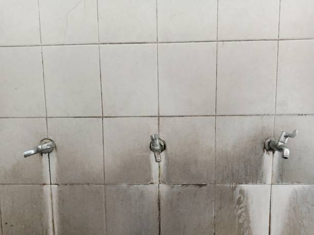 Best Carpet water damage restoration  in Mayer, MN